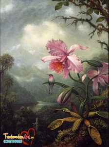 display_image (4)